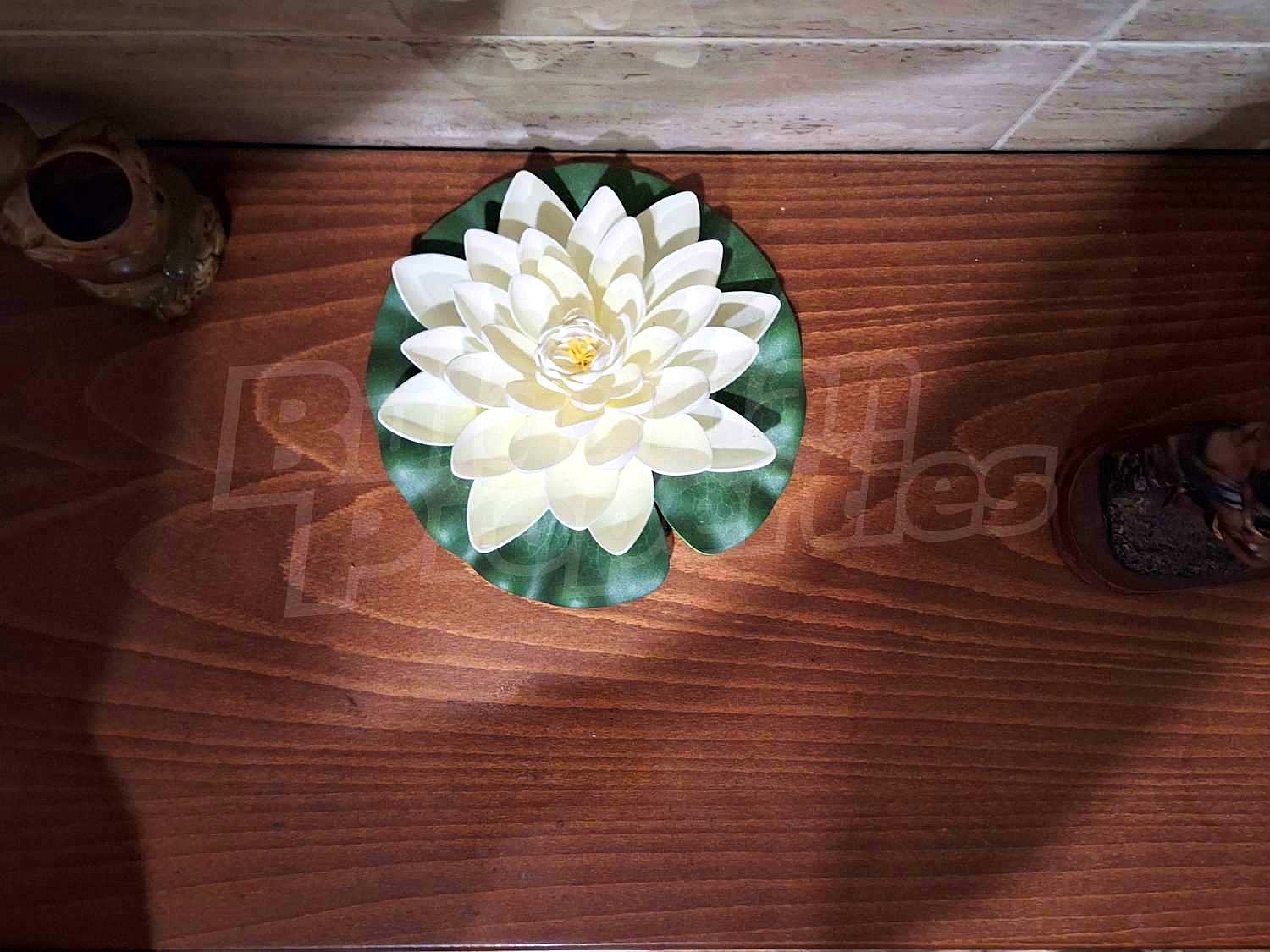 Gallery Picture 30