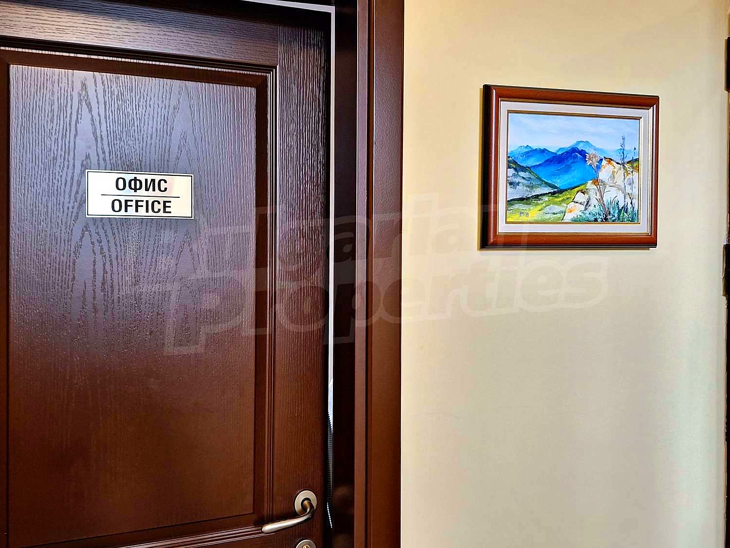 Gallery Picture 10