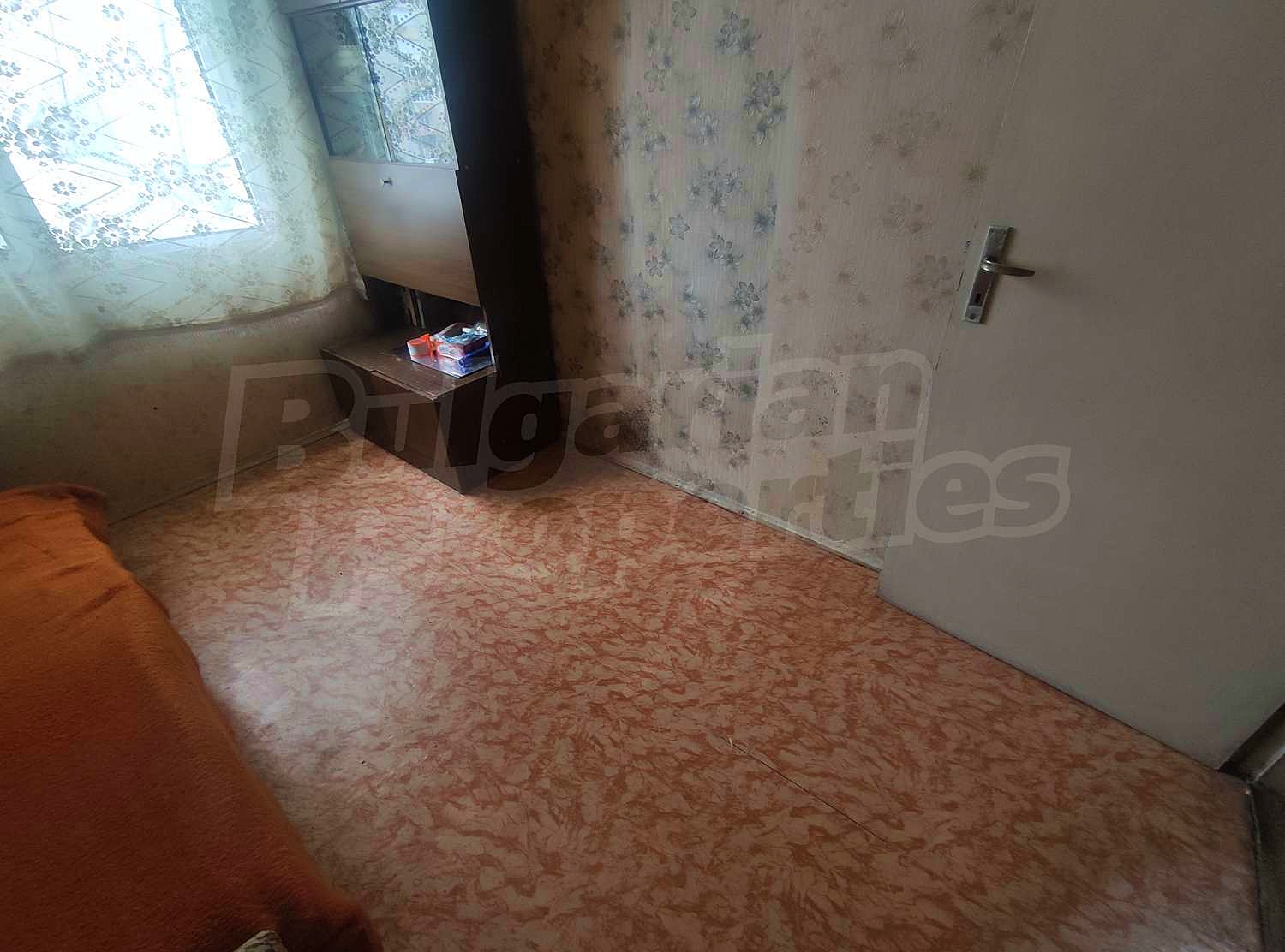 Gallery Picture 10