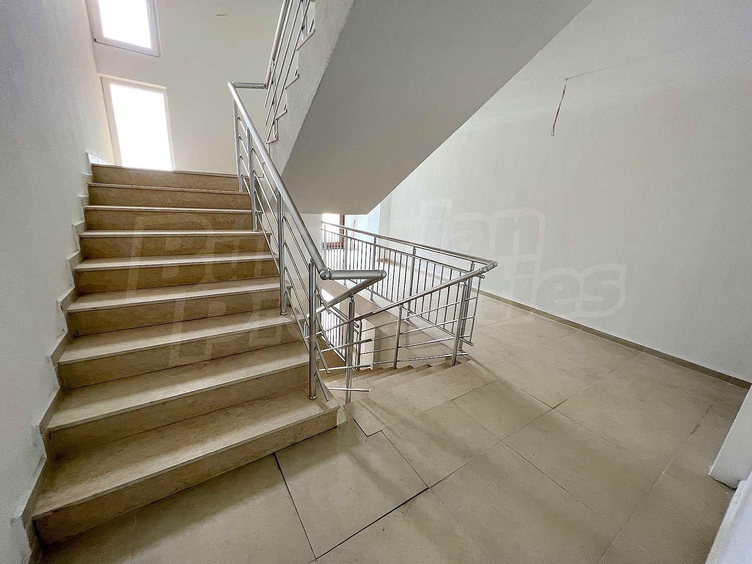 Gallery Picture 34