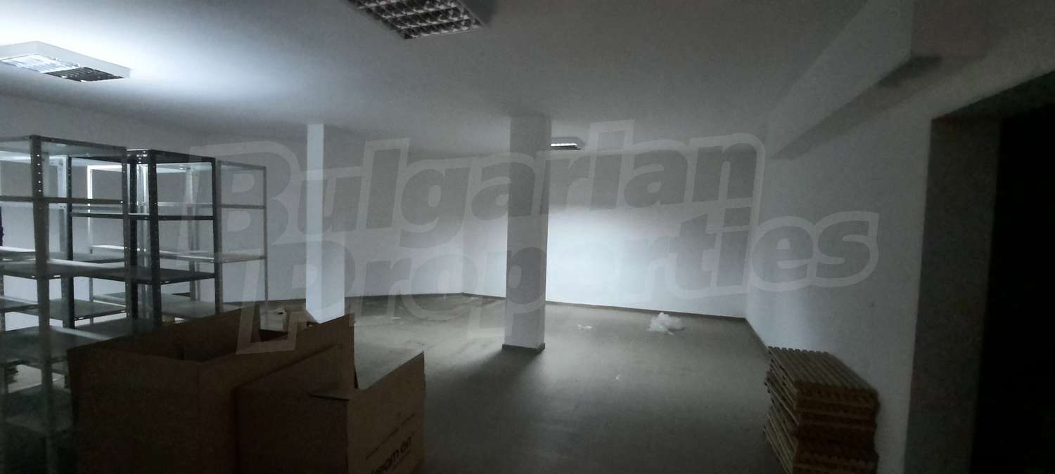 Gallery Picture 7