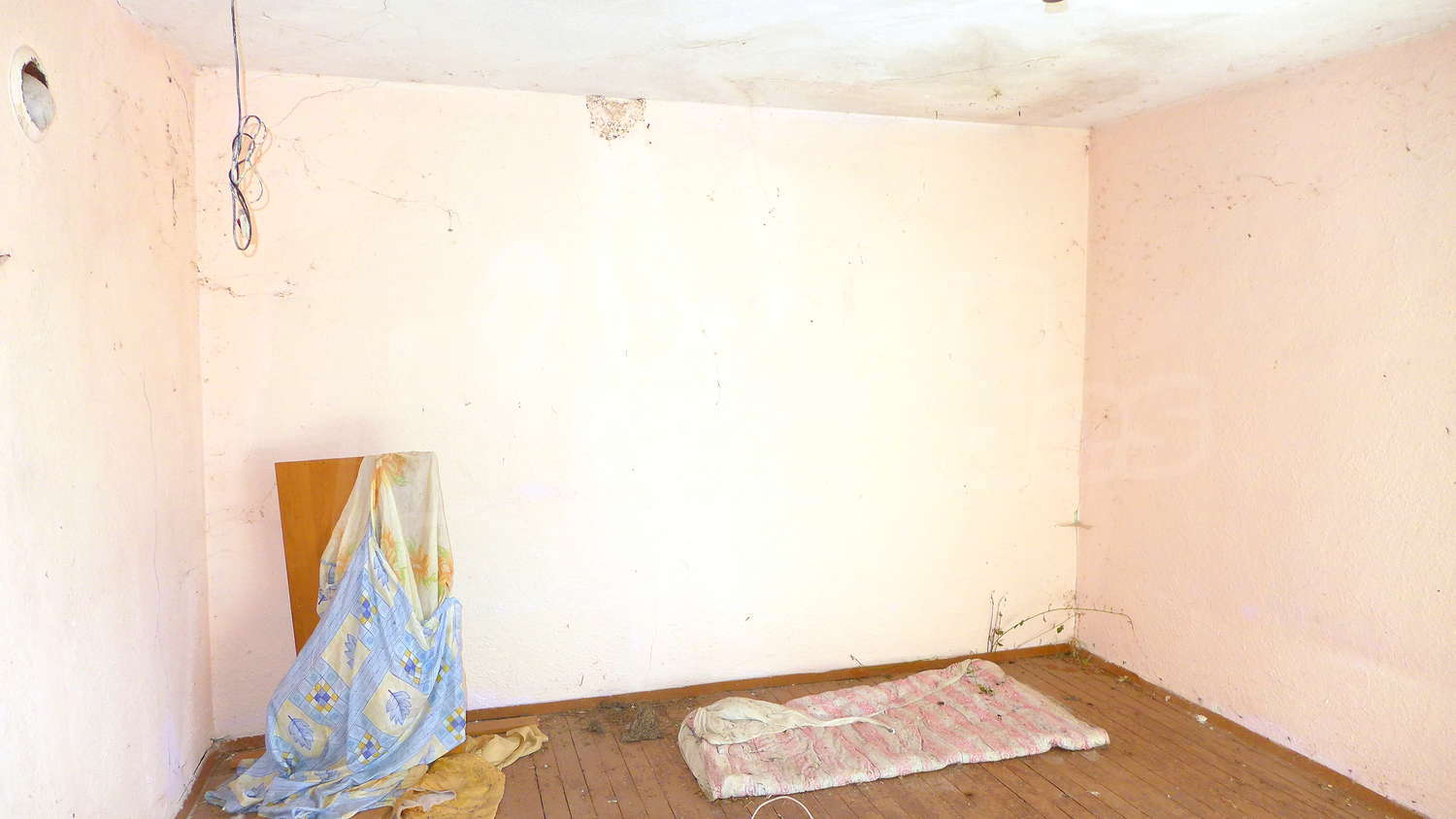 Gallery Picture 19