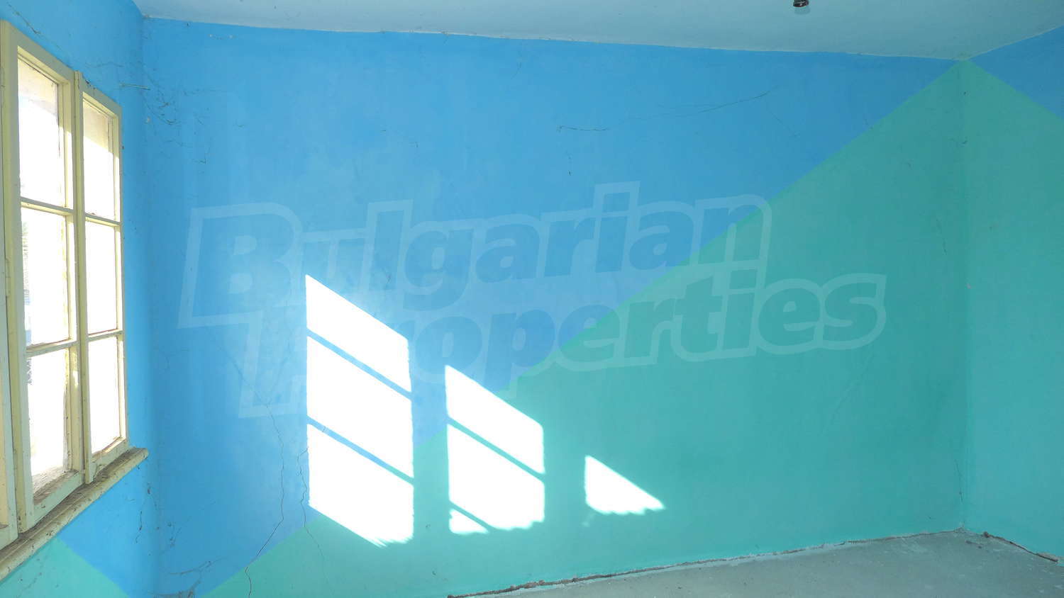 Gallery Picture 8