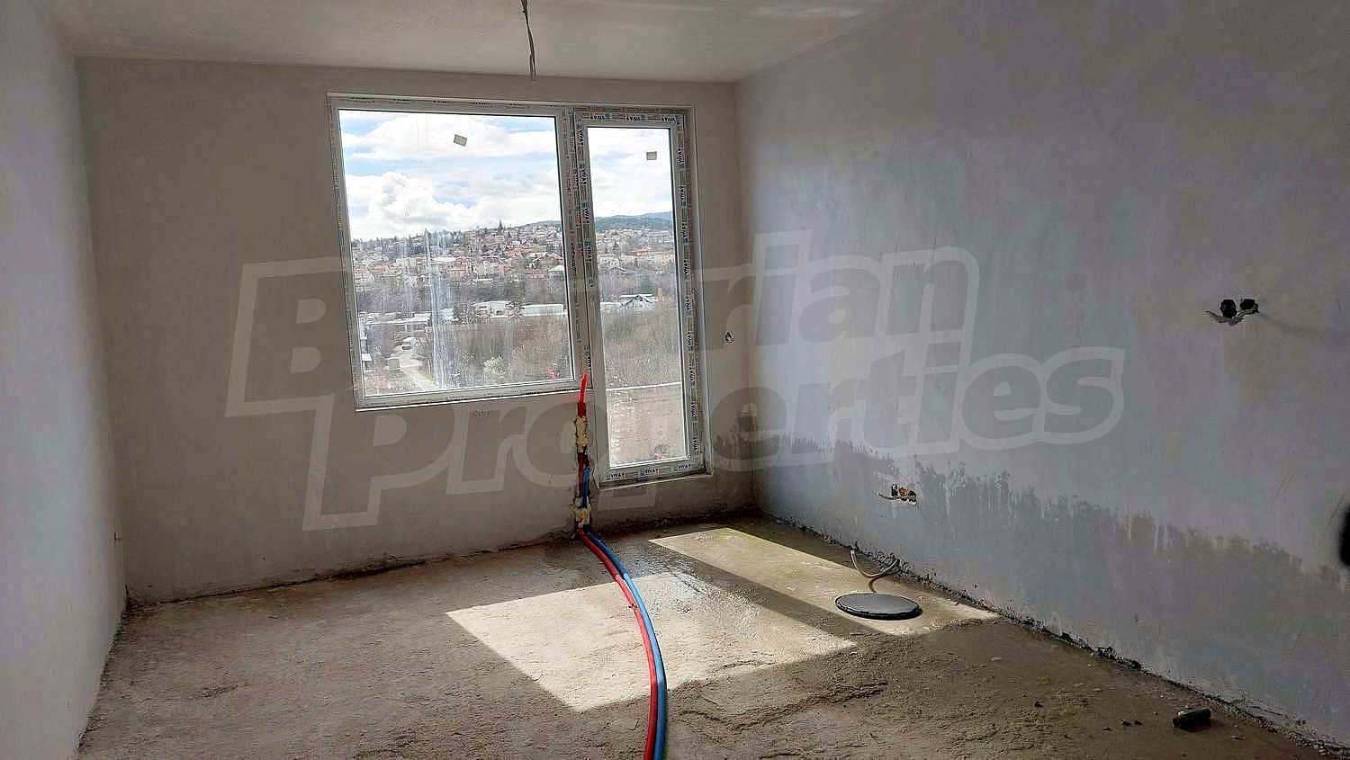 Gallery Picture 19