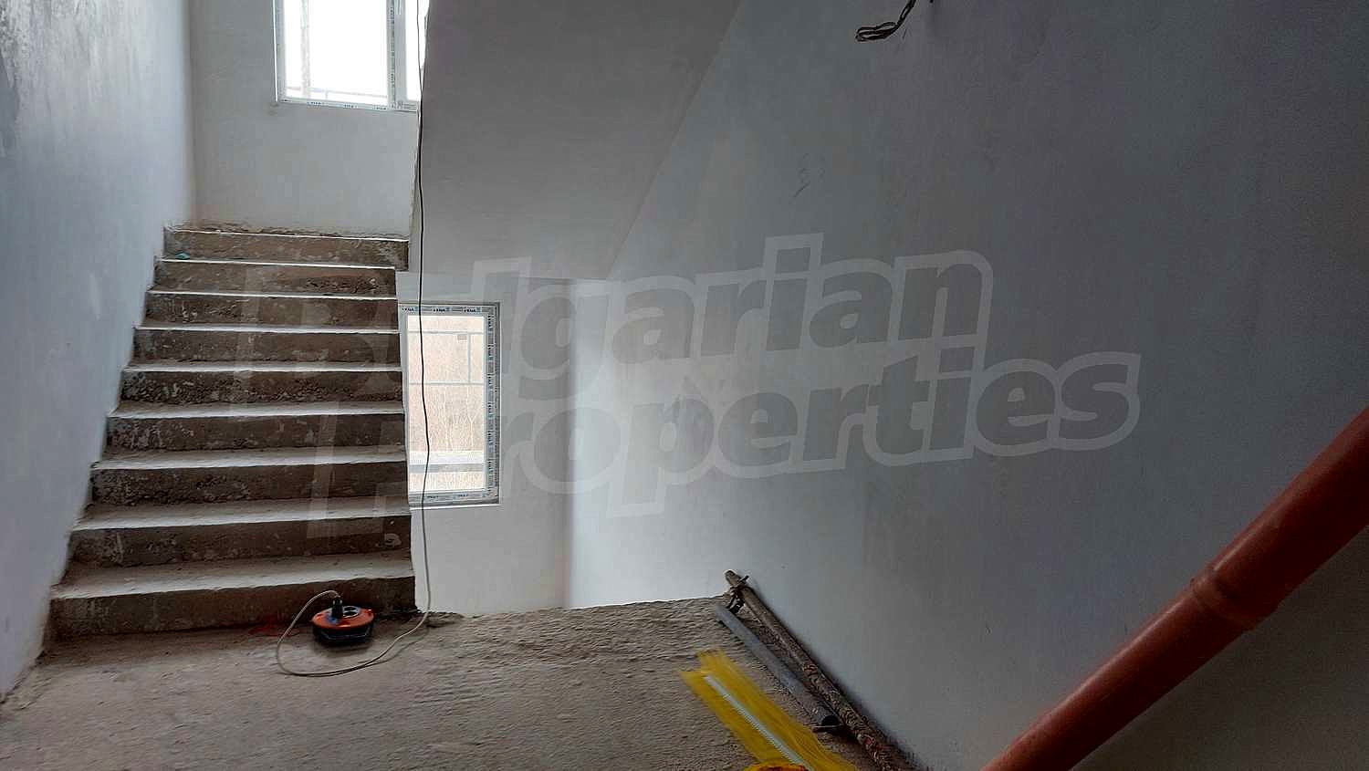 Gallery Picture 13
