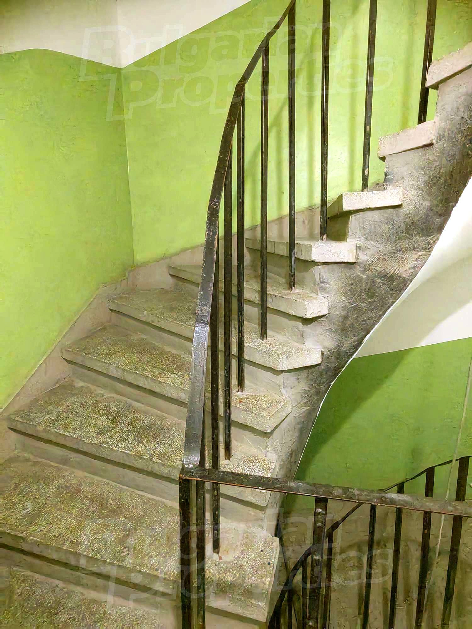 Gallery Picture 17