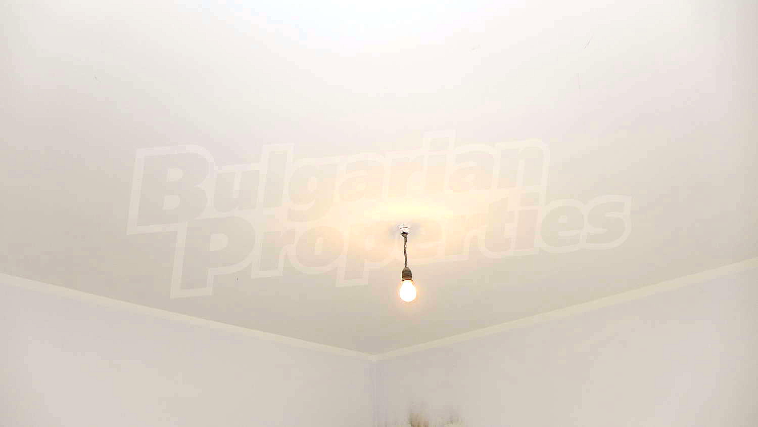 Gallery Picture 29