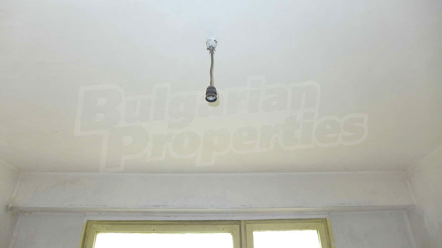 Gallery Picture 25