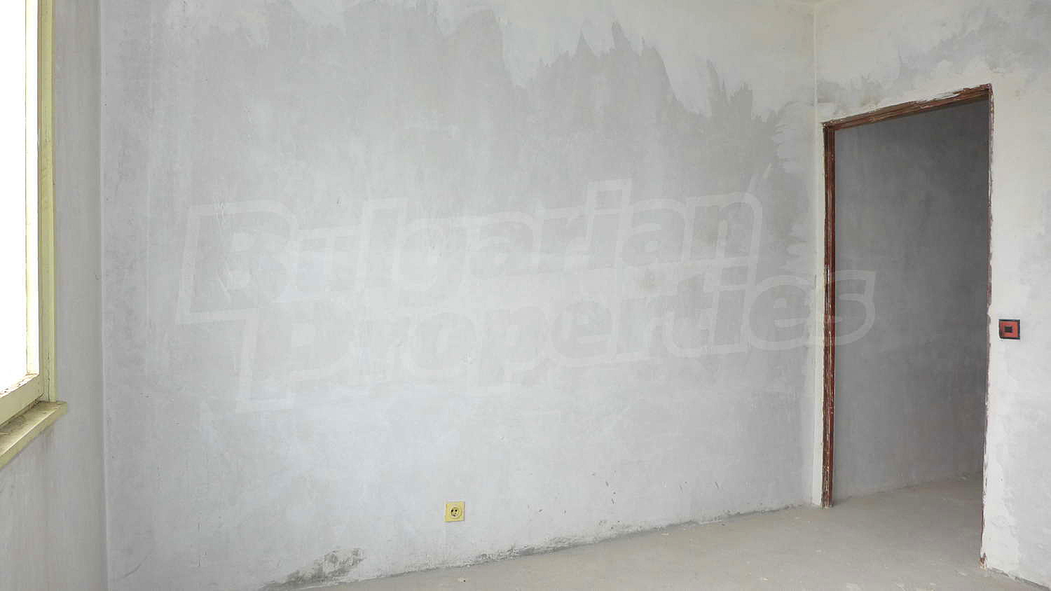 Gallery Picture 23