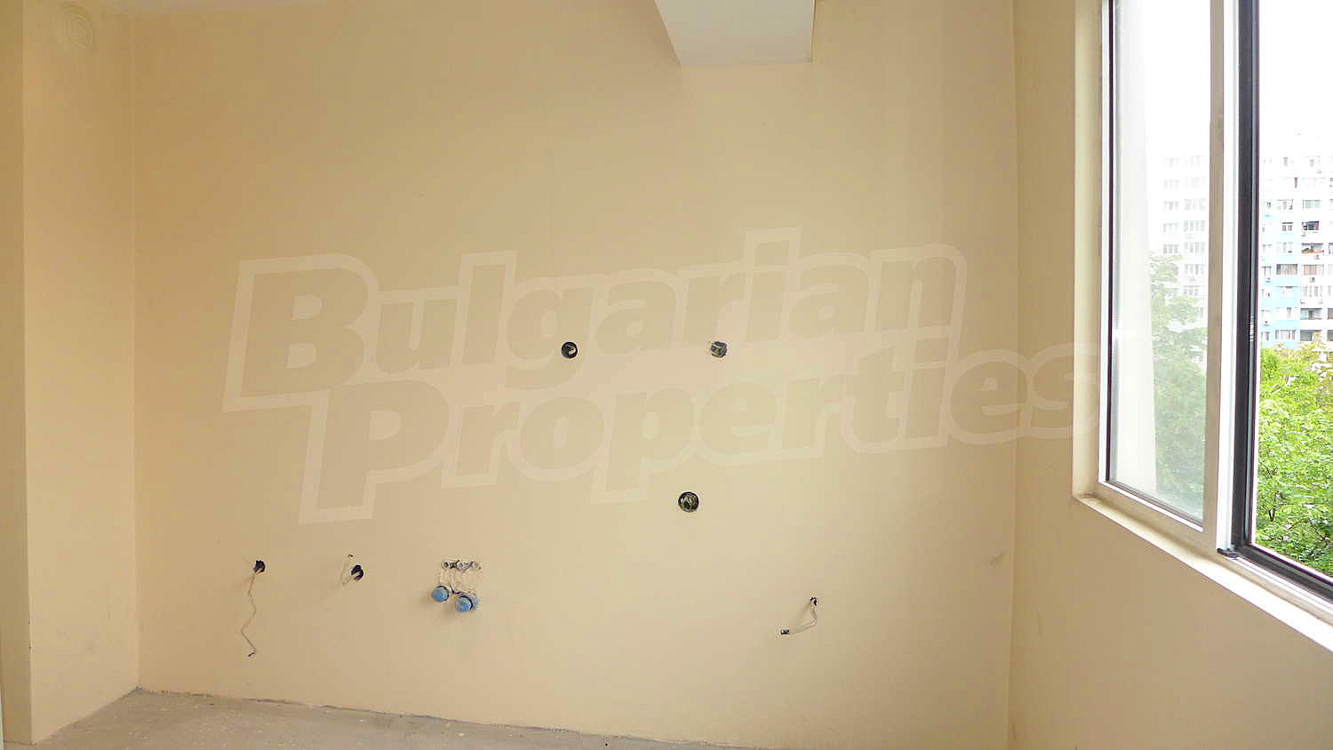 Gallery Picture 16