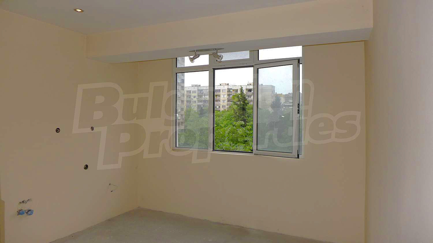 Gallery Picture 15