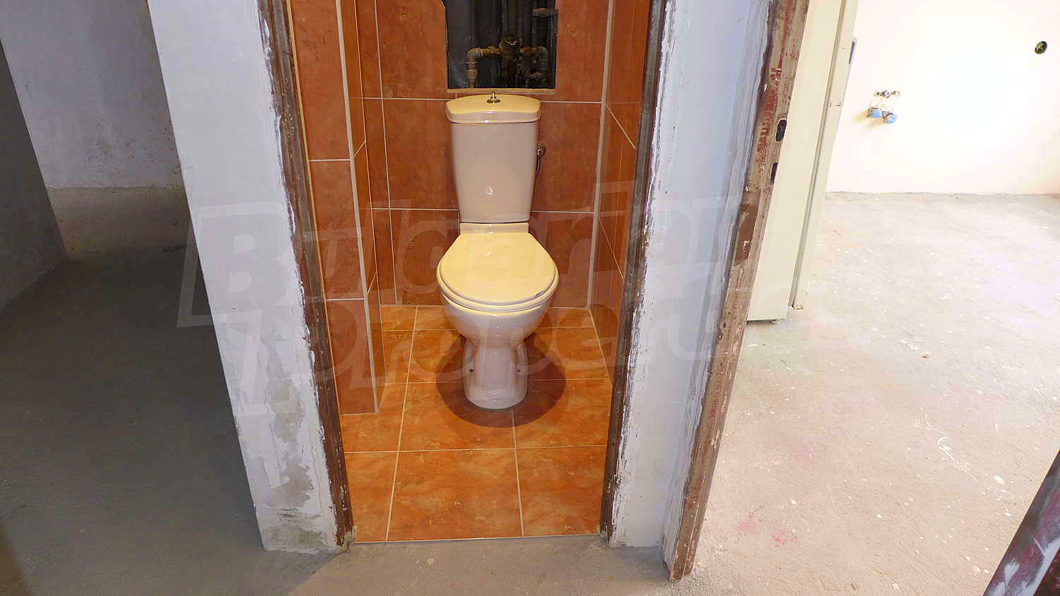 Gallery Picture 11