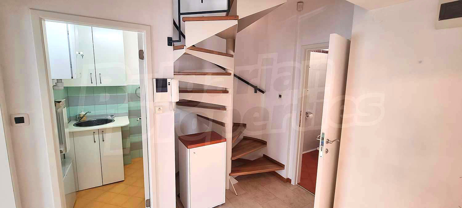 Gallery Picture 16