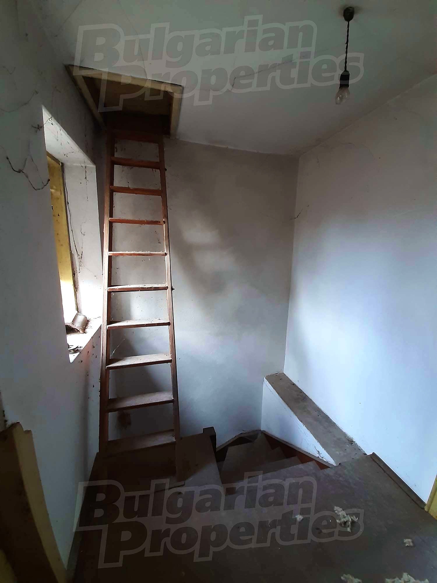 Gallery Picture 18