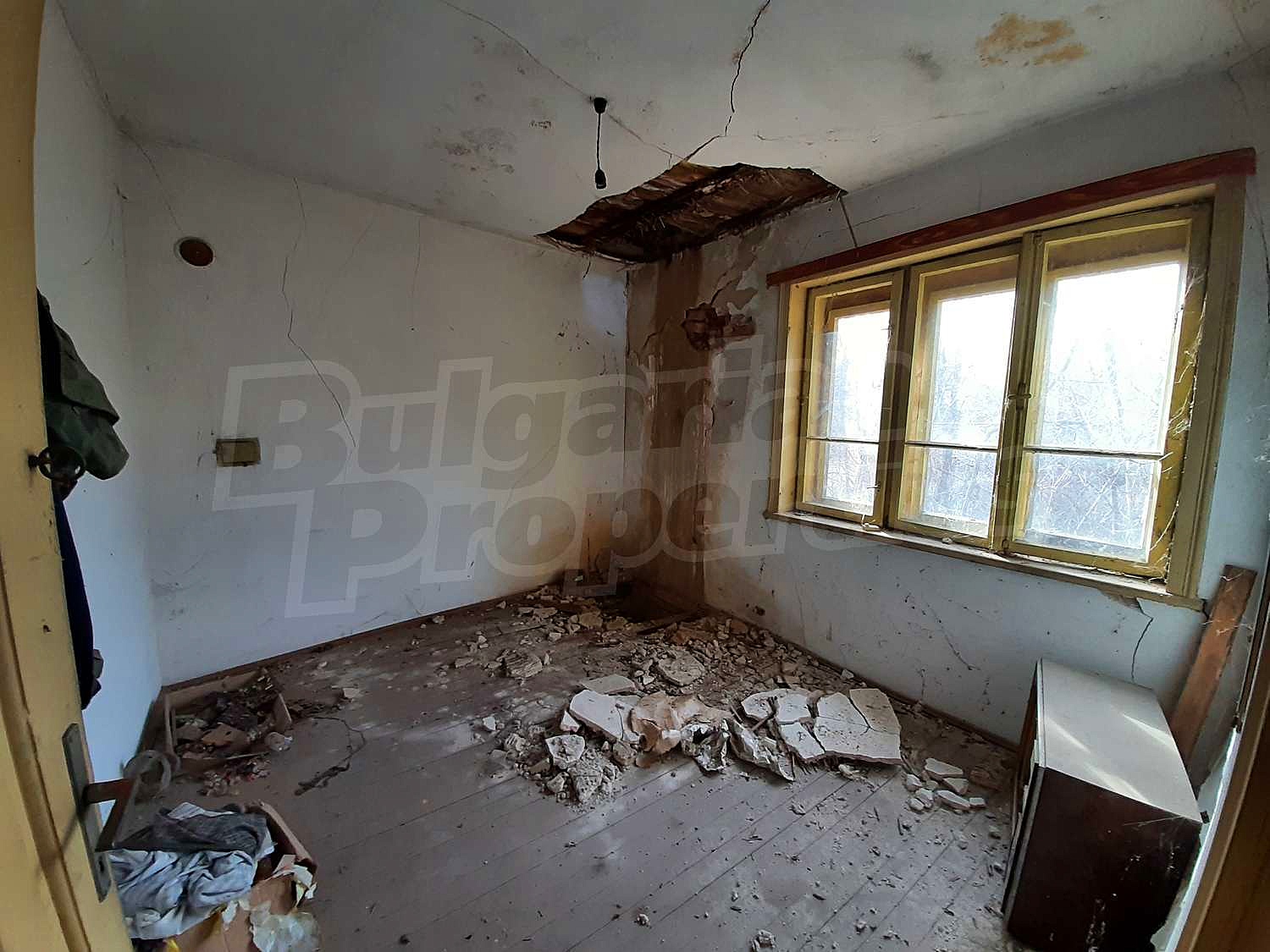 Gallery Picture 17