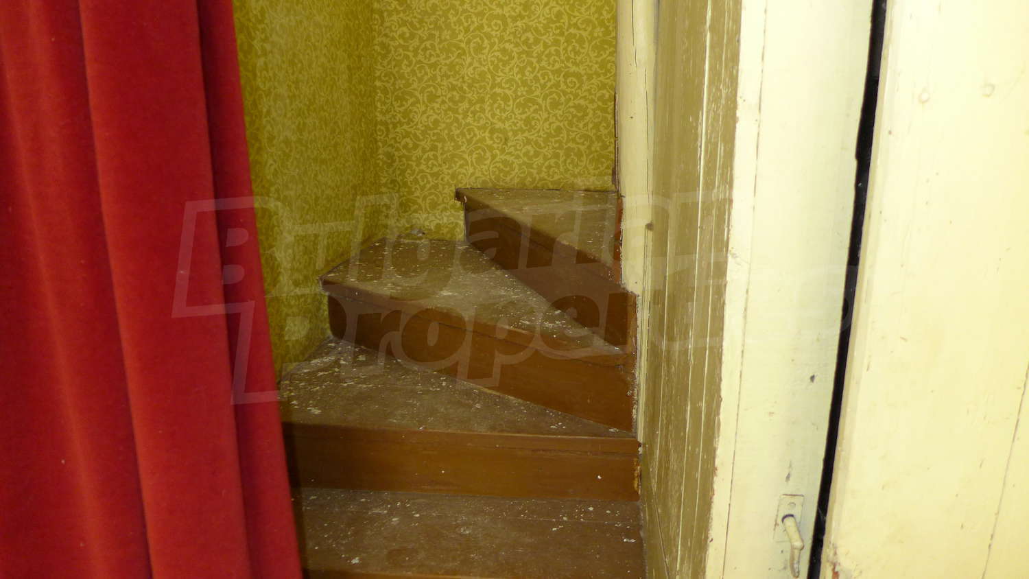 Gallery Picture 16