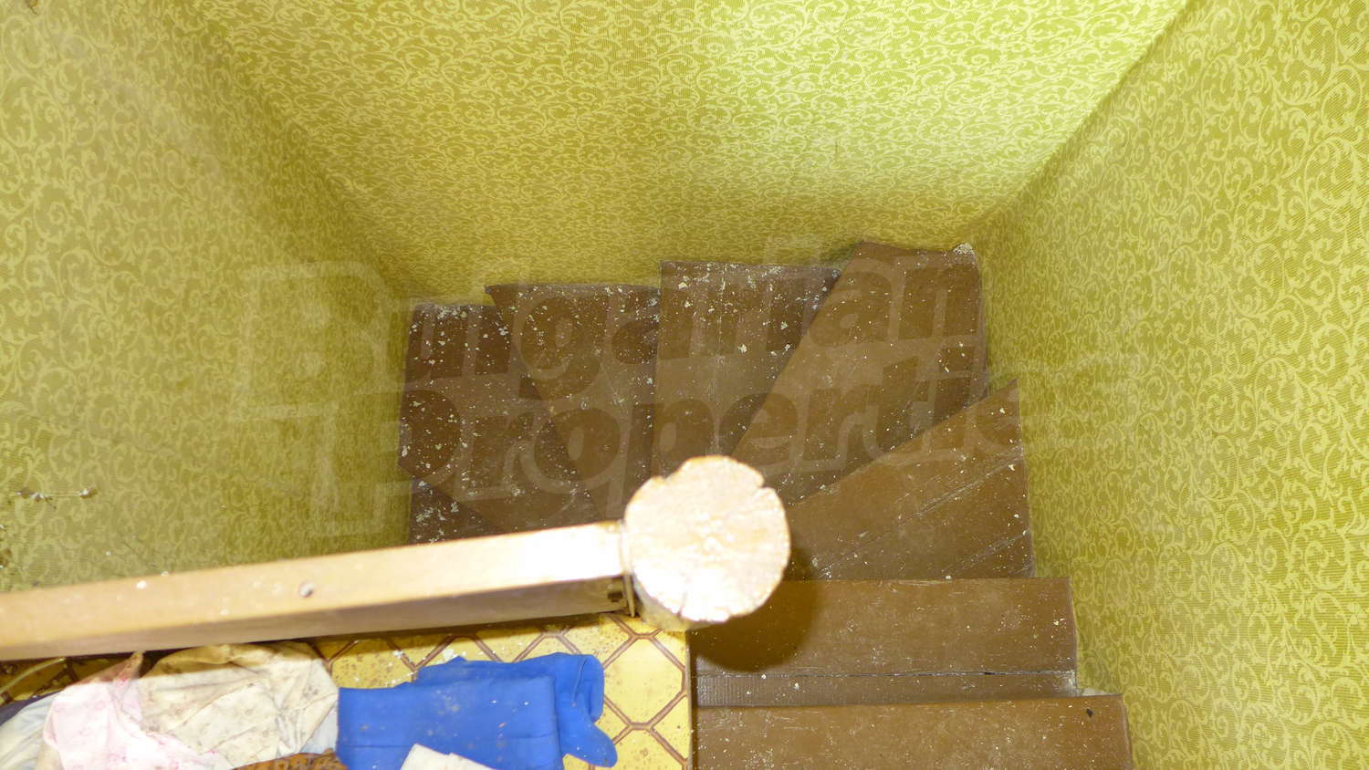 Gallery Picture 17