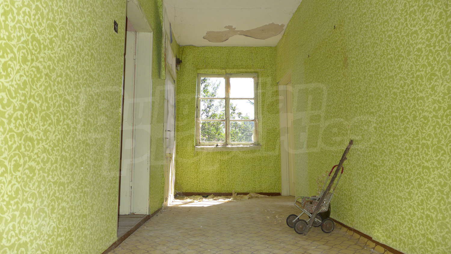 Gallery Picture 18