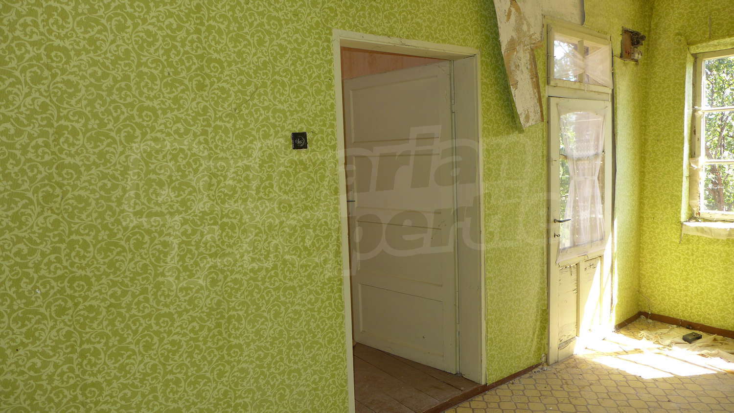 Gallery Picture 19