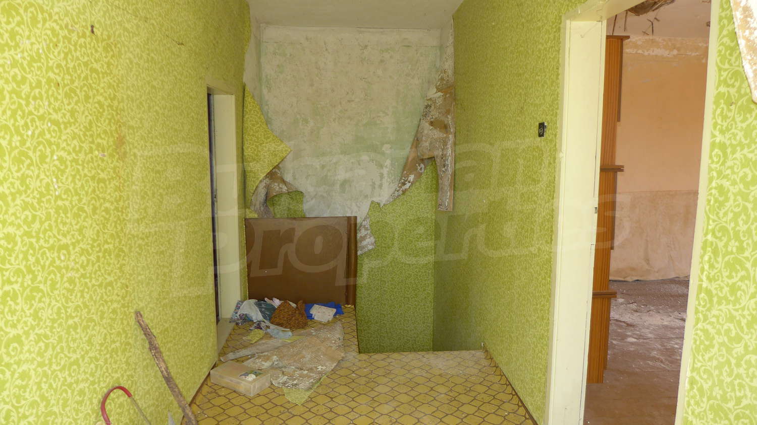 Gallery Picture 20