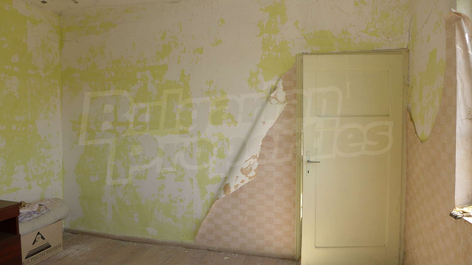 Gallery Picture 23