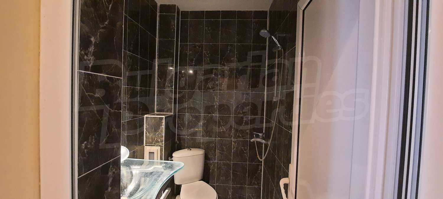 Gallery Picture 14