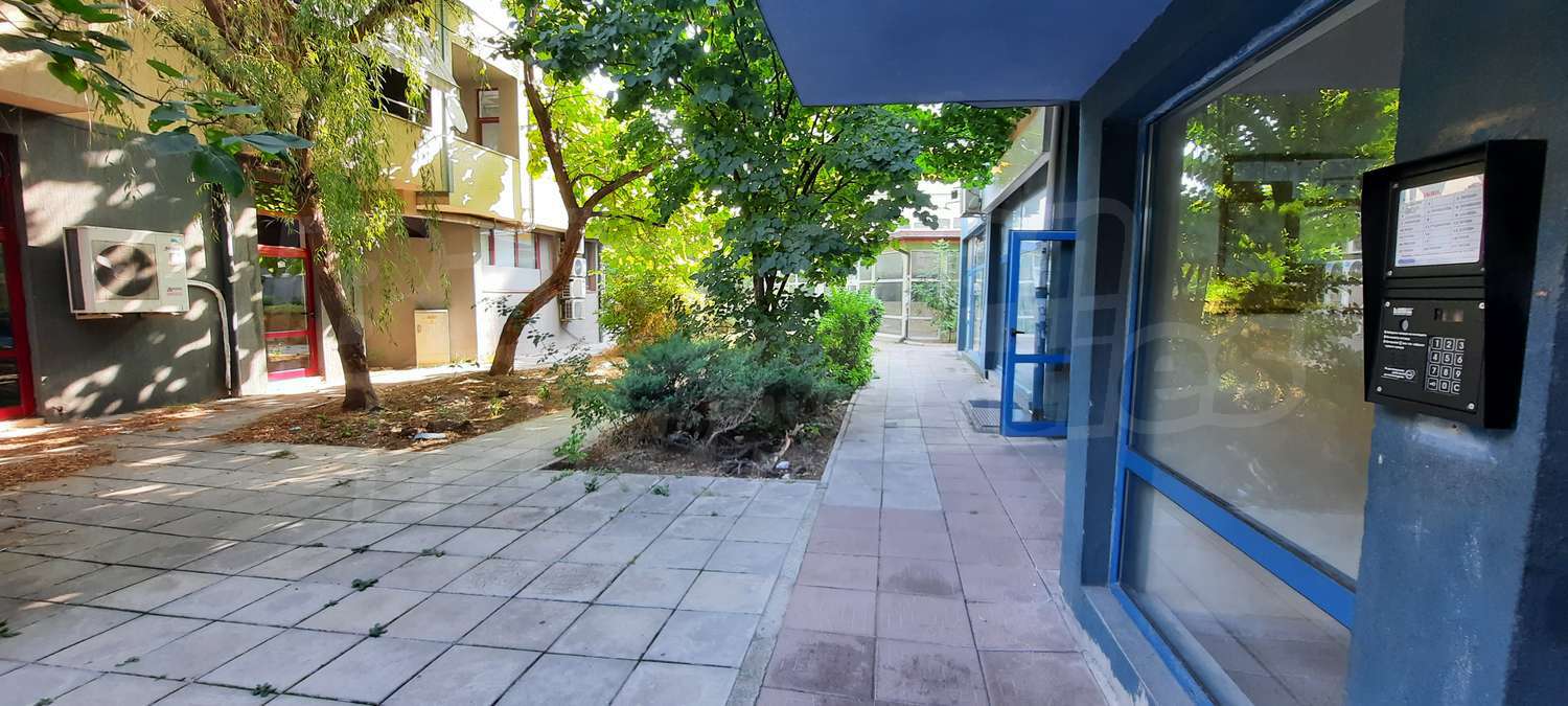Gallery Picture 19