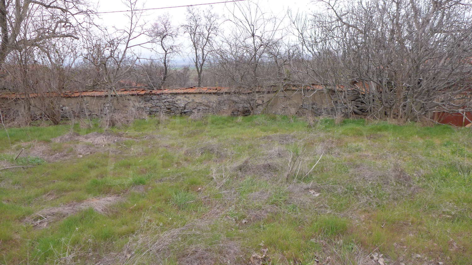 Gallery Picture 47
