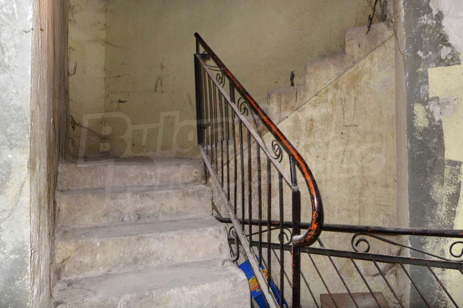 Gallery Picture 7