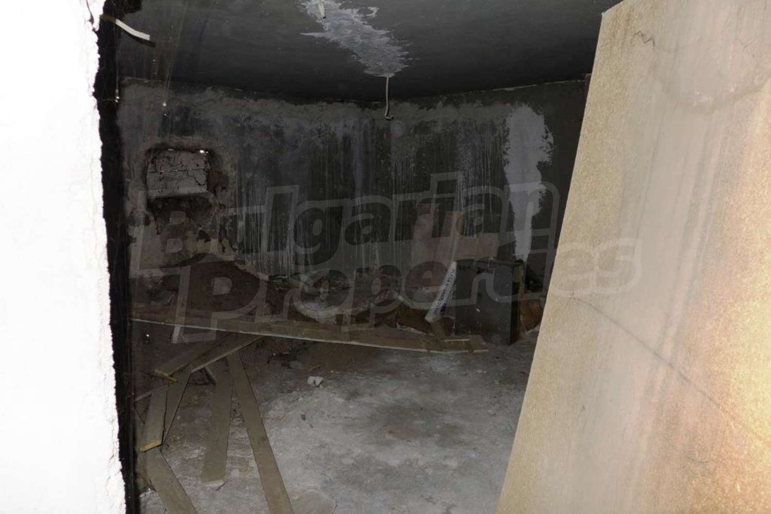 Gallery Picture 9
