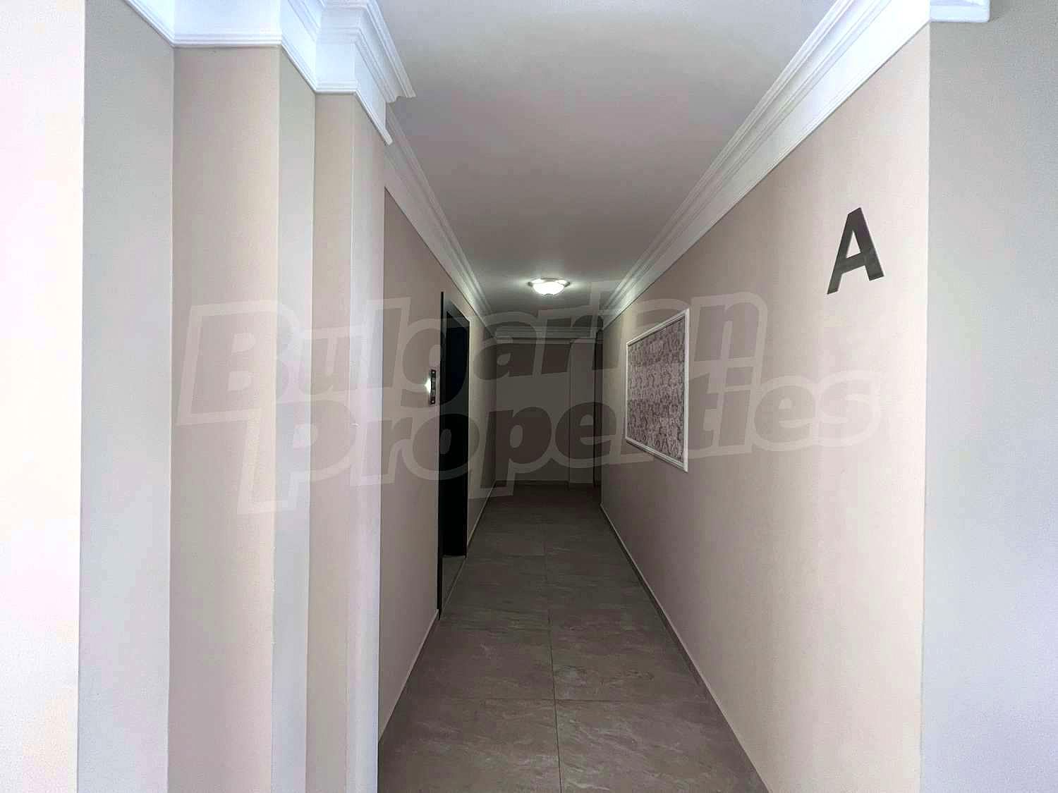 Gallery Picture 13