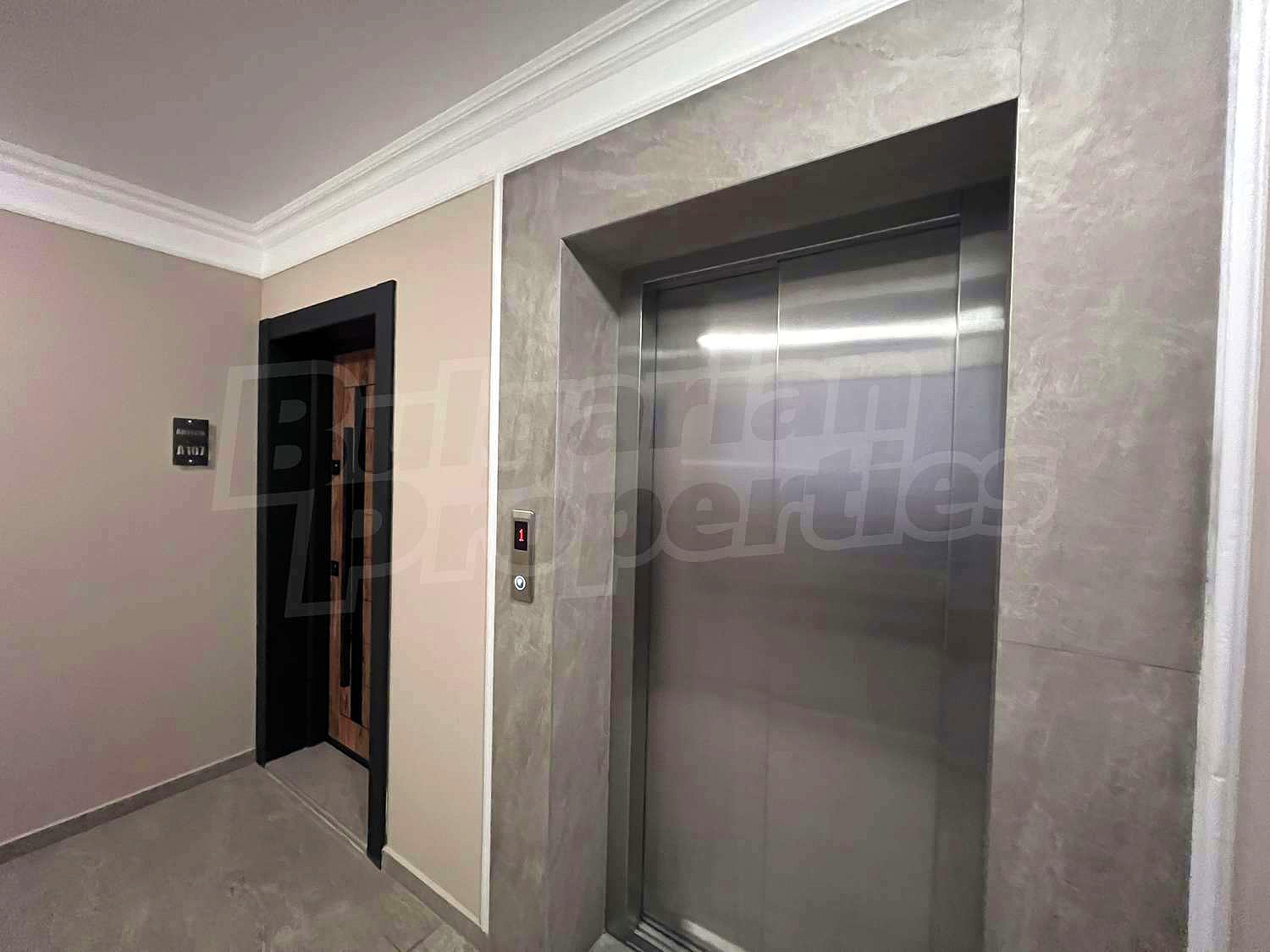 Gallery Picture 14