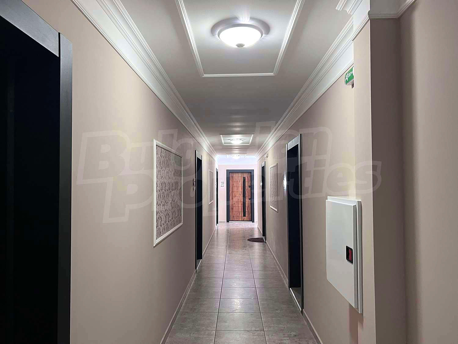 Gallery Picture 17