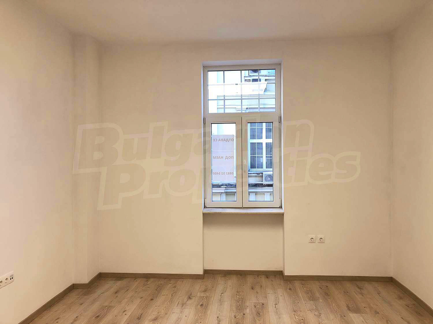 Gallery Picture 17