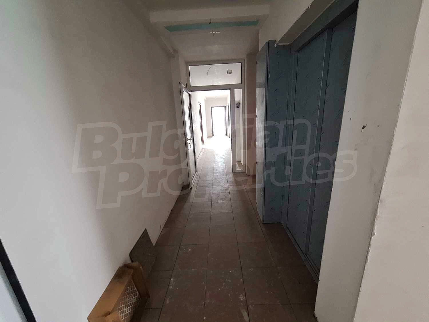 Gallery Picture 11