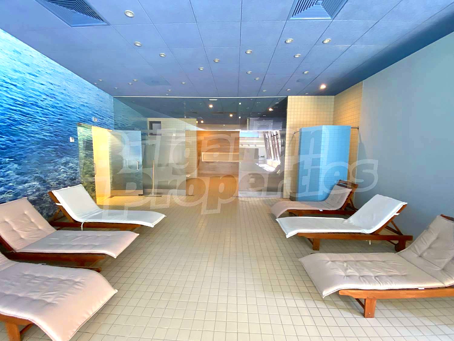 Gallery Picture 27