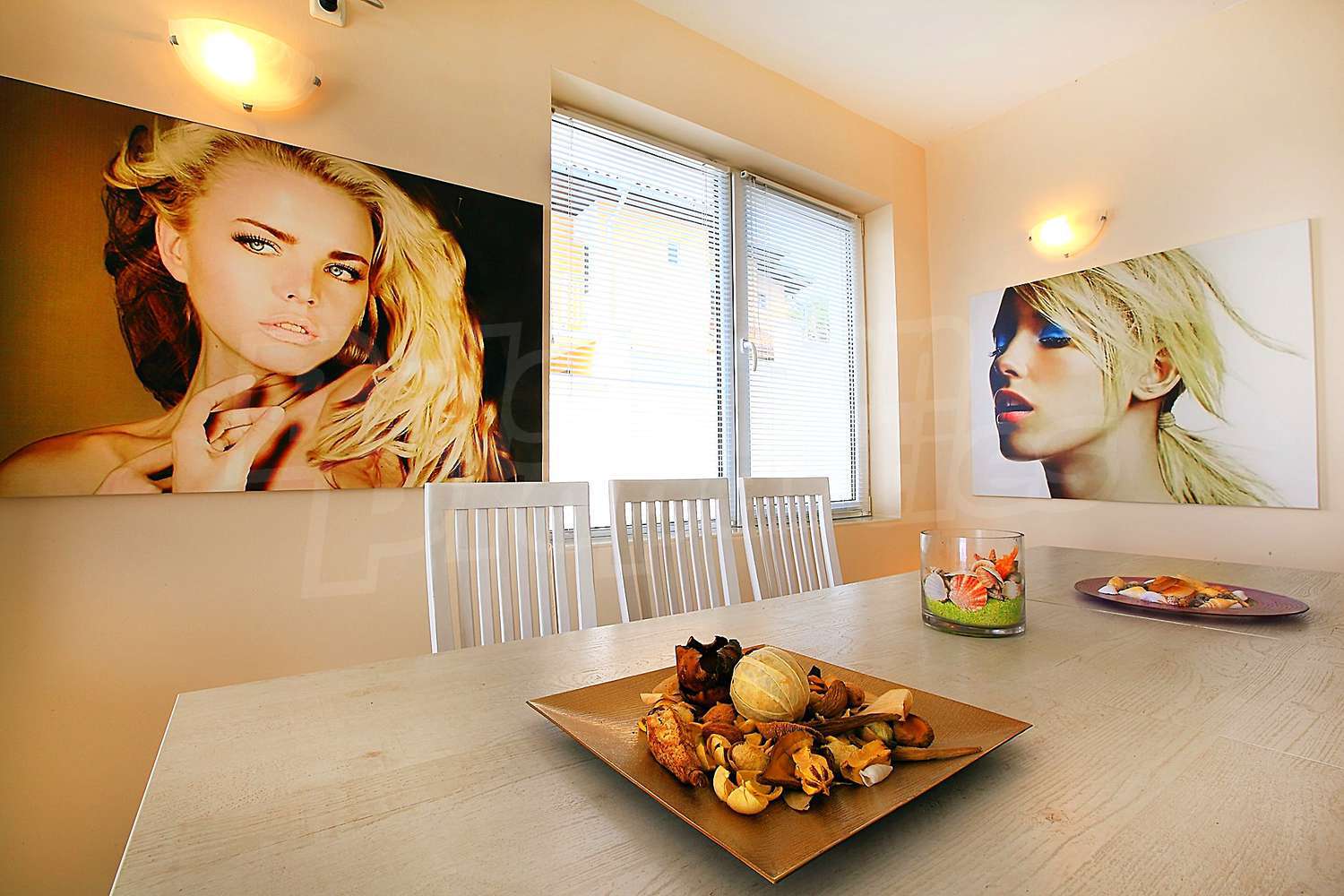 Gallery Picture 15