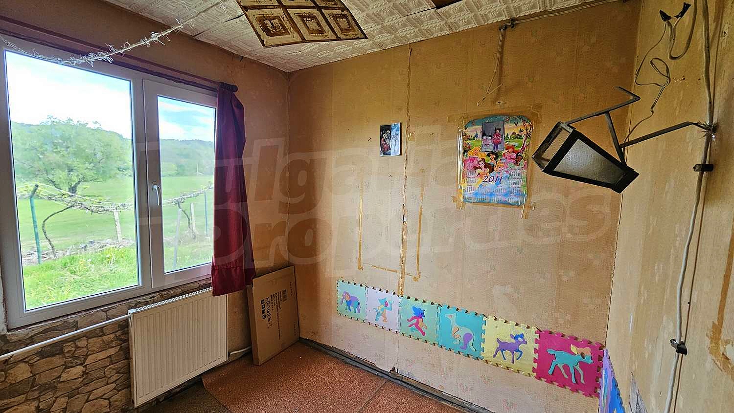 Gallery Picture 15