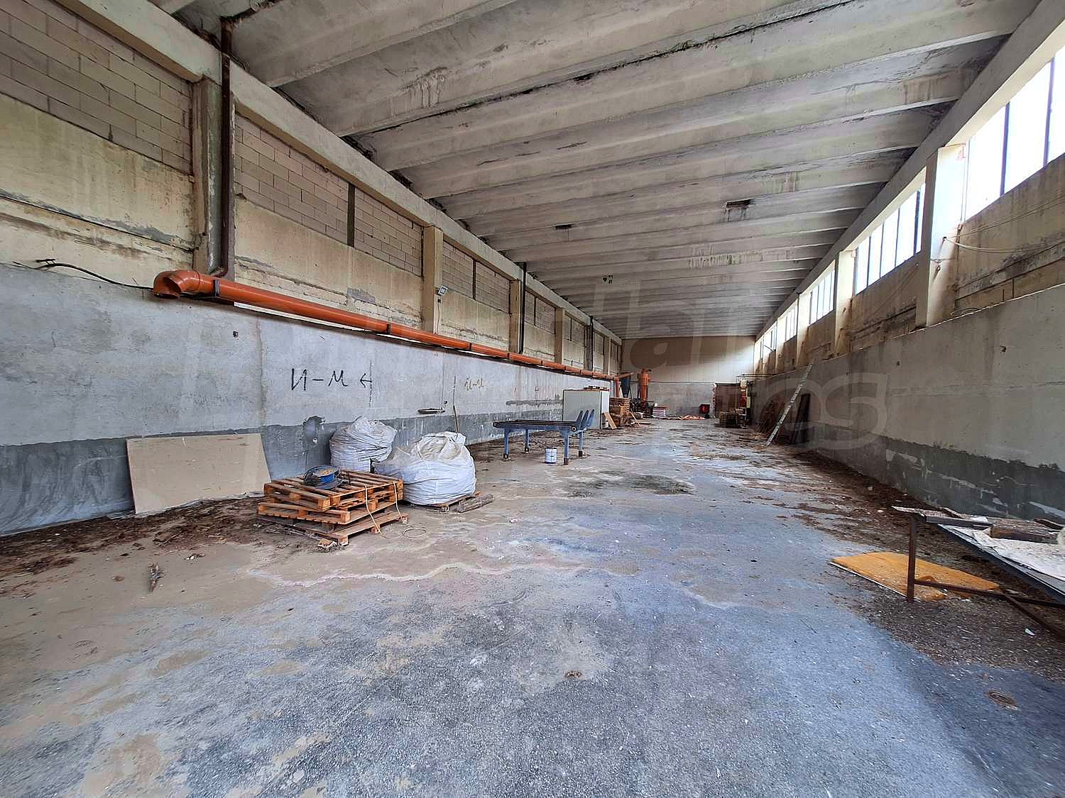 Gallery Picture 16