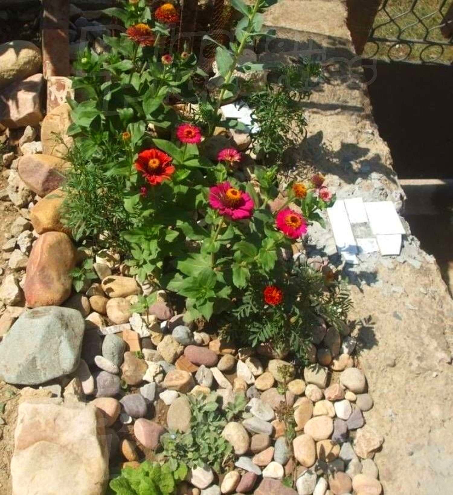 Gallery Picture 11