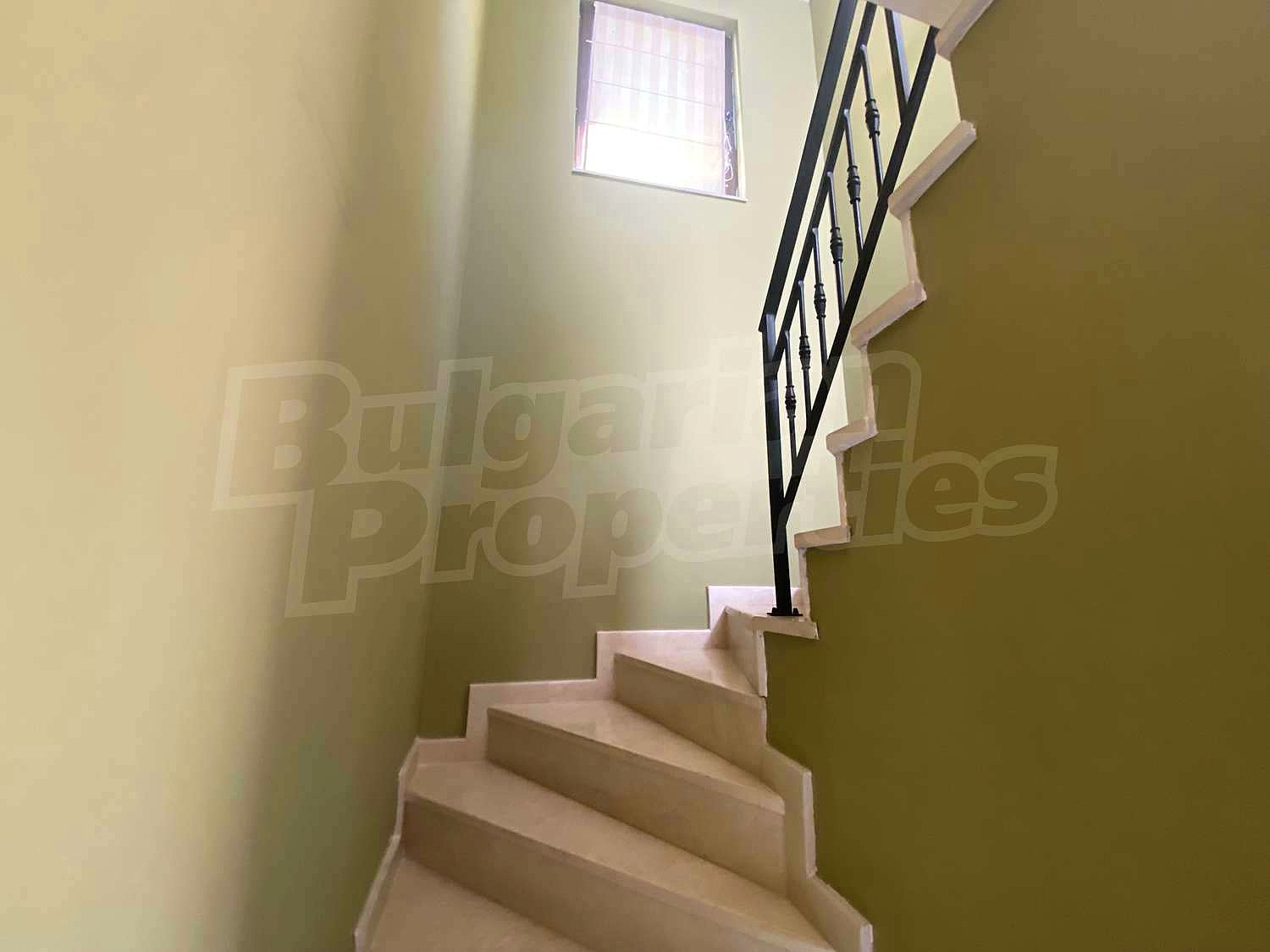 Gallery Picture 19