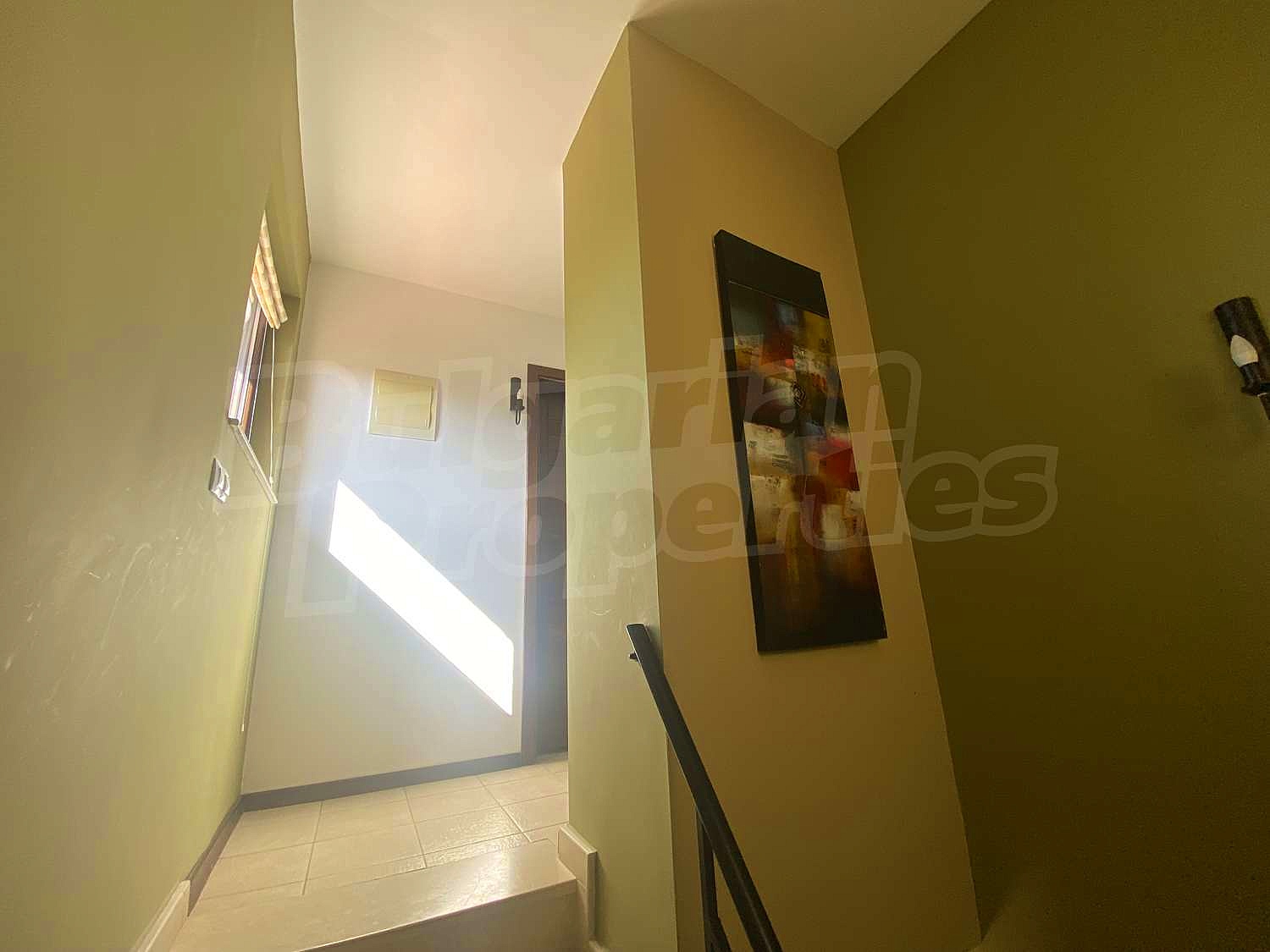 Gallery Picture 10