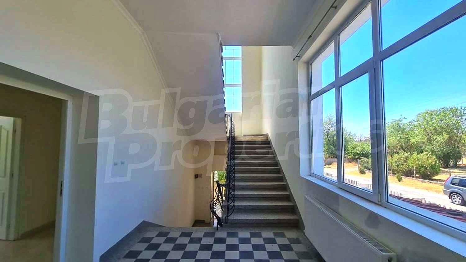 Gallery Picture 60