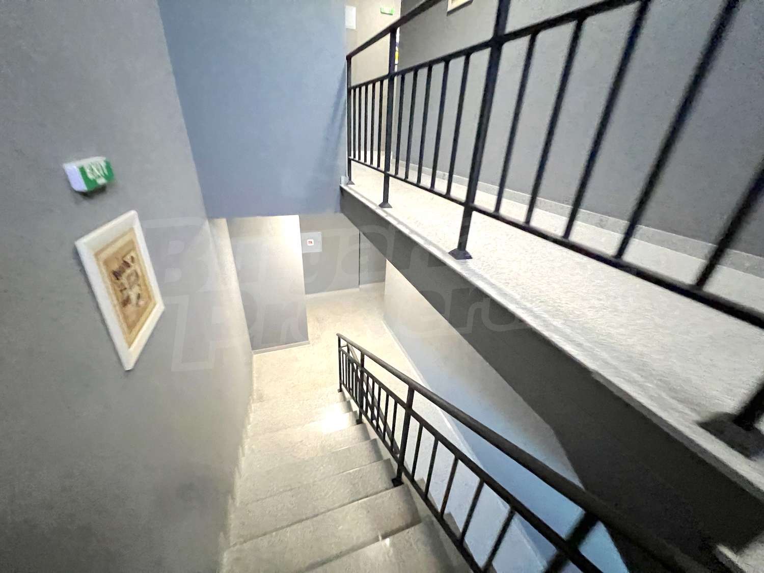 Gallery Picture 18