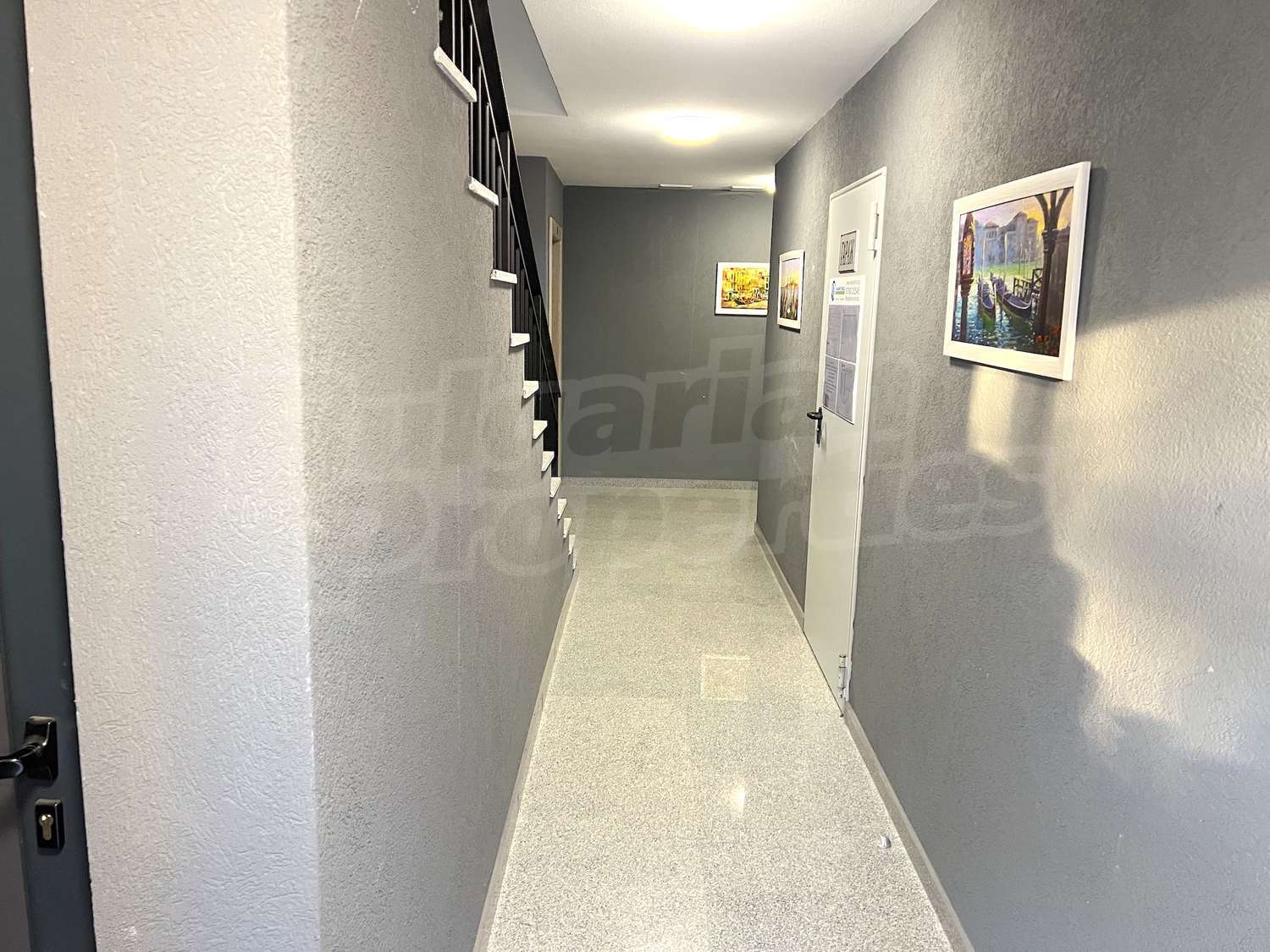 Gallery Picture 19