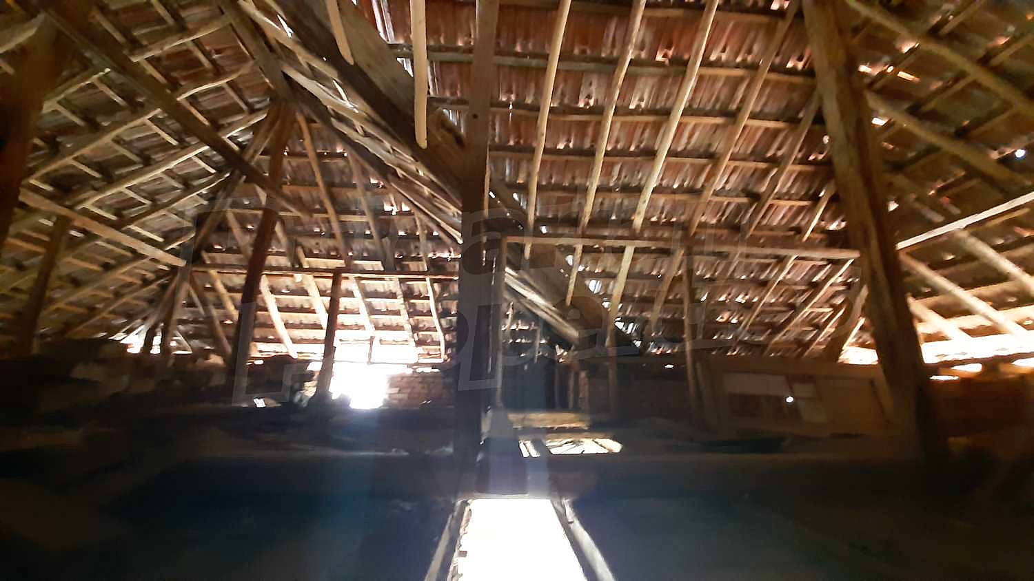 Gallery Picture 14