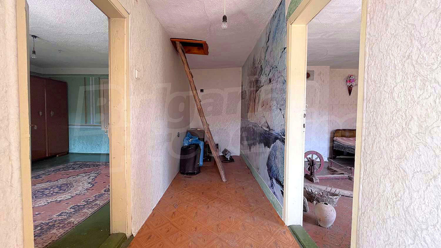 Gallery Picture 20