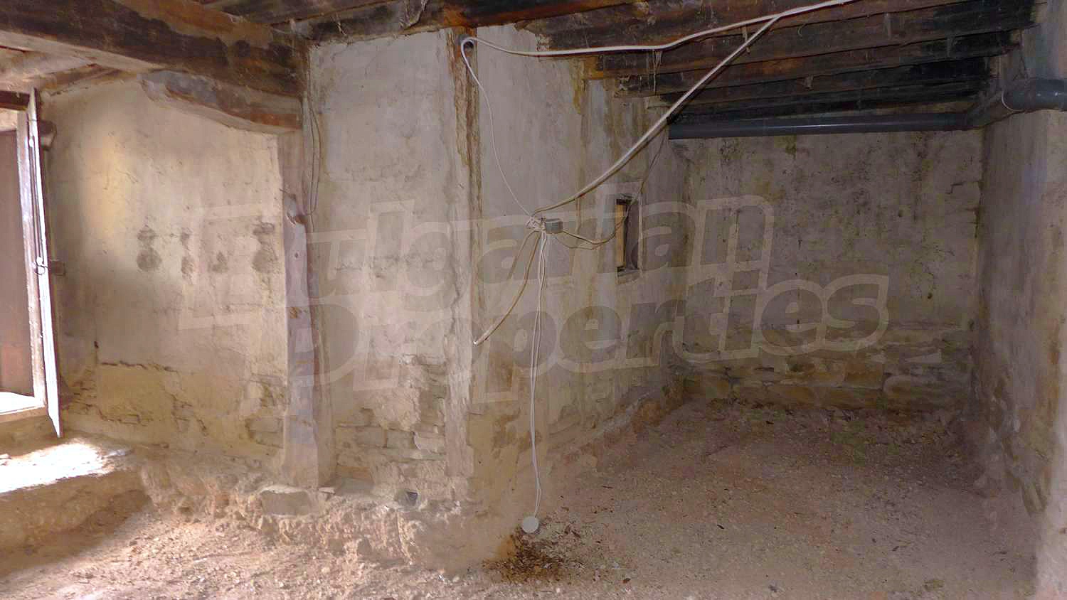 Gallery Picture 29