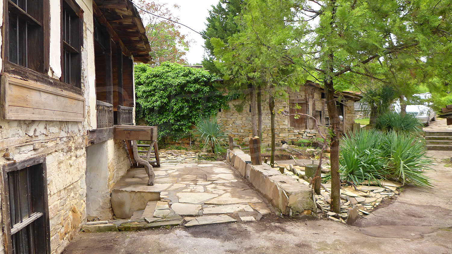 Gallery Picture 43