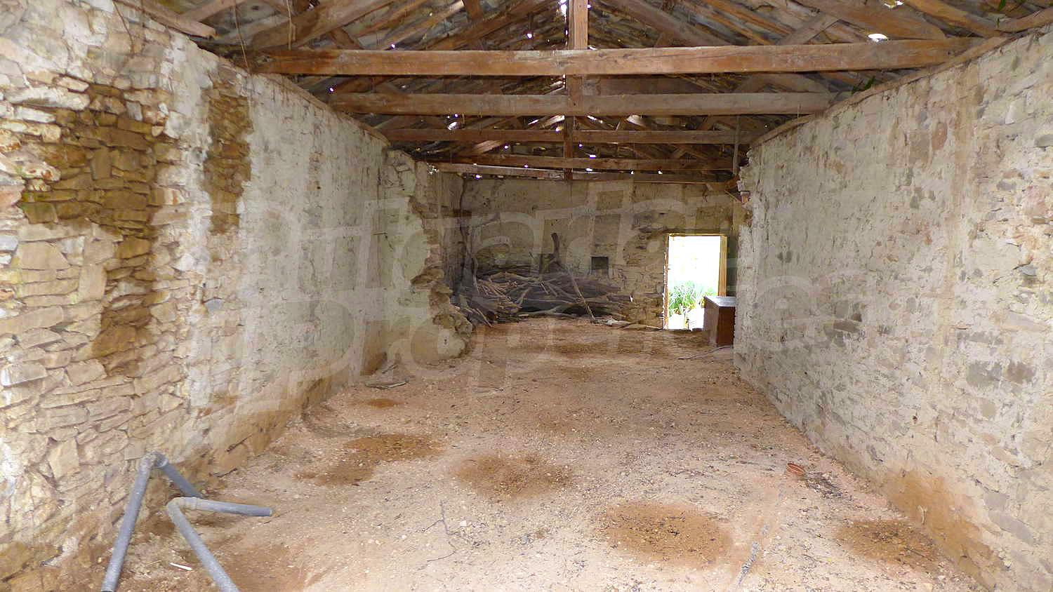 Gallery Picture 42